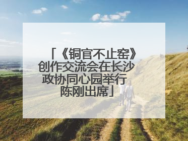 《铜官不止窑》创作交流会在长沙政协同心园举行 陈刚出席