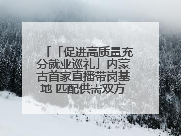 「促进高质量充分就业巡礼」内蒙古首家直播带岗基地 匹配供需双方 促进上岗就业