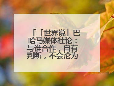 「世界说」巴哈马媒体社论：与谁合作，自有判断，不会沦为“权力游戏”