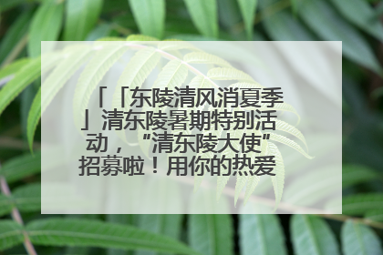 「东陵清风消夏季」清东陵暑期特别活动，“清东陵大使”招募啦！用你的热爱守护世界遗产！