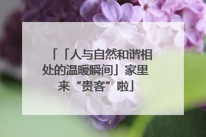 「人与自然和谐相处的温暖瞬间」家里来“贵客”啦