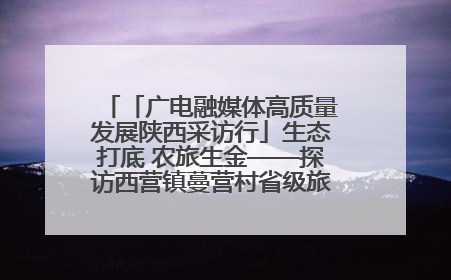 「广电融媒体高质量发展陕西采访行」生态打底 农旅生金——探访西营镇蔓营村省级旅游示范村的振兴密码