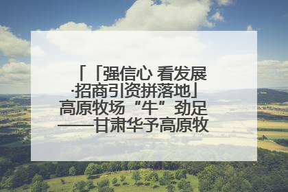 「强信心 看发展·招商引资拼落地」高原牧场“牛”劲足——甘肃华予高原牧场高标准奶牛肉牛养殖项目一线见闻
