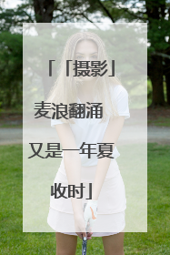「摄影」麦浪翻涌 又是一年夏收时