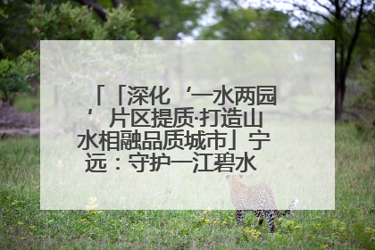 「深化‘一水两园’片区提质·打造山水相融品质城市」宁远：守护一江碧水 共享幸福河湖