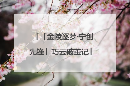 「金陵逐梦·宁创先锋」巧云破茧记