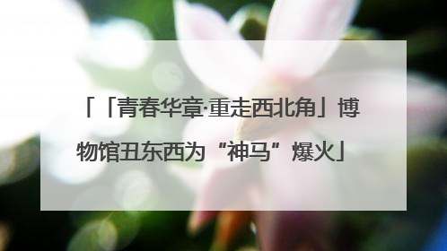 「青春华章·重走西北角」博物馆丑东西为“神马”爆火