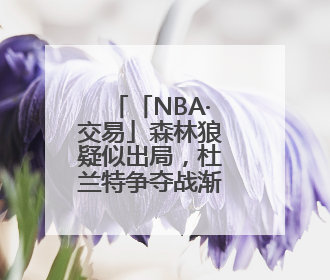 「NBA·交易」森林狼疑似出局，杜兰特争夺战渐趋明朗