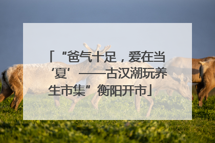 “爸气十足，爱在当‘夏’——古汉潮玩养生市集”衡阳开市