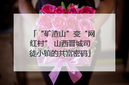 “矿渣山”变“网红村” 山西晋城司徒小镇的共富密码