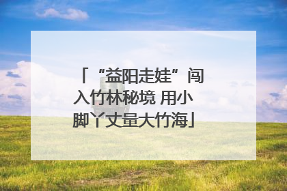 “益阳走娃”闯入竹林秘境 用小脚丫丈量大竹海