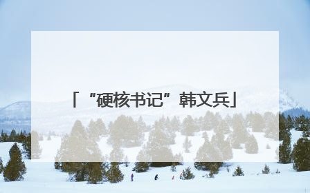 “硬核书记”韩文兵