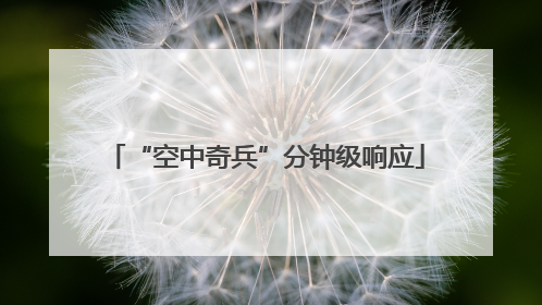 “空中奇兵”分钟级响应