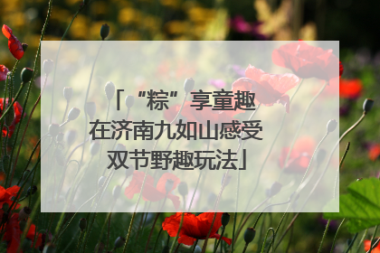 “粽”享童趣 在济南九如山感受双节野趣玩法