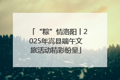 “粽”情洛阳丨2025年嵩县端午文旅活动精彩纷呈