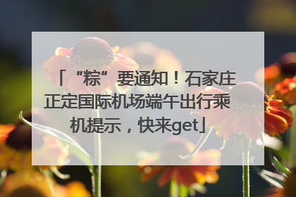 “粽”要通知！石家庄正定国际机场端午出行乘机提示，快来get