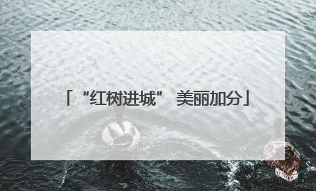 “红树进城” 美丽加分