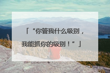 “你管我什么级别，我能抓你的级别！”
