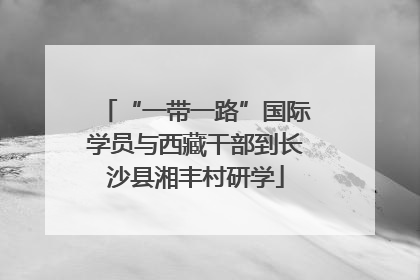 “一带一路”国际学员与西藏干部到长沙县湘丰村研学
