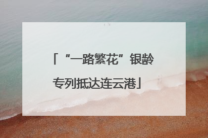“一路繁花”银龄专列抵达连云港