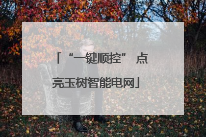 “一键顺控” 点亮玉树智能电网