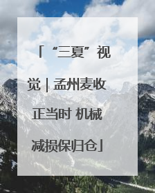 “三夏”视觉｜孟州麦收正当时 机械减损保归仓