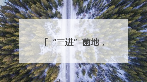 “三进”菌地，“黑木耳法庭”呵护乡村梦想