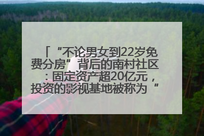 “不论男女到22岁免费分房”背后的南村社区：固定资产超20亿元，投资的影视基地被称为“山村好莱坞”