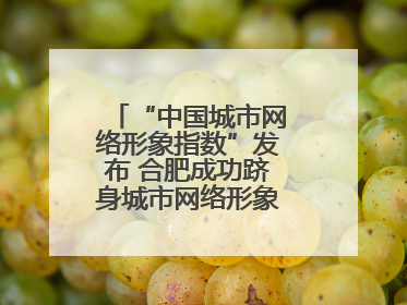 “中国城市网络形象指数”发布 合肥成功跻身城市网络形象榜单第一方阵