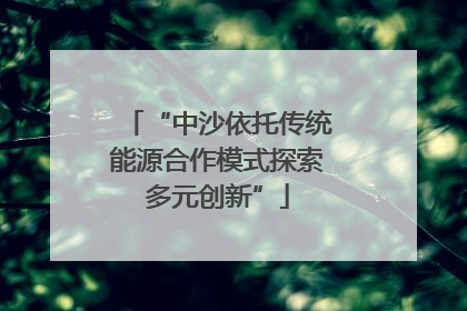 “中沙依托传统能源合作模式探索多元创新”