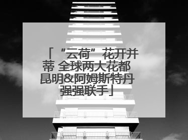 “云荷”花开并蒂 全球两大花都昆明&阿姆斯特丹强强联手