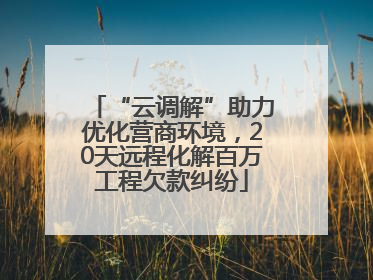 “云调解”助力优化营商环境，20天远程化解百万工程欠款纠纷