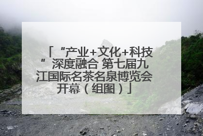 “产业+文化+科技”深度融合 第七届九江国际名茶名泉博览会开幕（组图）