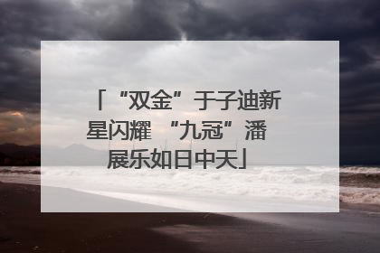 “双金”于子迪新星闪耀 “九冠”潘展乐如日中天
