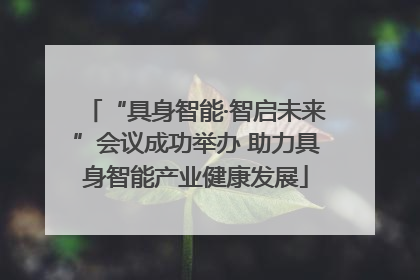 “具身智能·智启未来”会议成功举办 助力具身智能产业健康发展