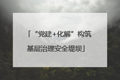 “党建+化解”构筑基层治理安全堤坝