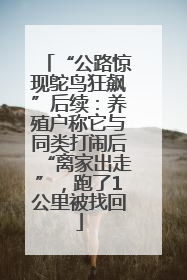 “公路惊现鸵鸟狂飙”后续：养殖户称它与同类打闹后“离家出走”，跑了1公里被找回