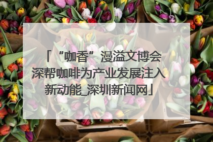 “咖香”漫溢文博会 深帮咖啡为产业发展注入新动能_深圳新闻网