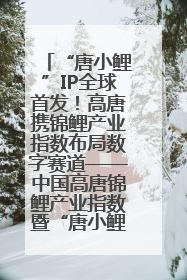 “唐小鲤”IP全球首发！高唐携锦鲤产业指数布局数字赛道——中国高唐锦鲤产业指数暨“唐小鲤”IP全球首发仪式在杭州举行
