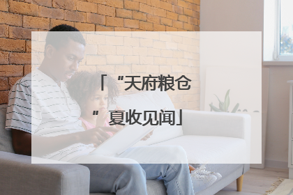 “天府粮仓”夏收见闻