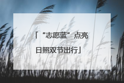 “志愿蓝”点亮日照双节出行