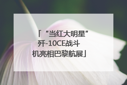 “当红大明星”歼-10CE战斗机亮相巴黎航展