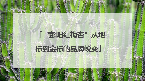 “彭阳红梅杏”从地标到金标的品牌蜕变