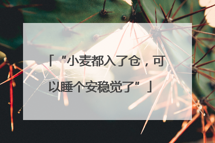 “小麦都入了仓，可以睡个安稳觉了”