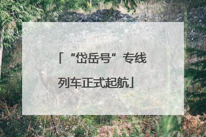“岱岳号”专线列车正式起航