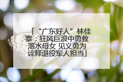“广东好人”林佳泰：狂风巨浪中勇救落水母女 见义勇为诠释退役军人担当