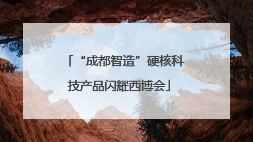 “成都智造”硬核科技产品闪耀西博会