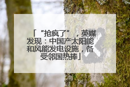 “抢疯了”，英媒发现：中国产太阳能和风能发电设施，备受邻国热捧