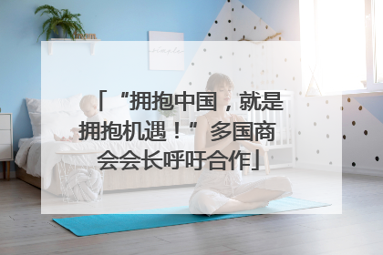 “拥抱中国，就是拥抱机遇！”多国商会会长呼吁合作