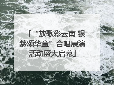 “放歌彩云南 银龄颂华章”合唱展演活动盛大启幕
